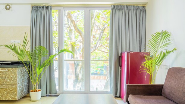 Una sala de estar con un sofá, una mesita de centro y dos plantas en macetas.