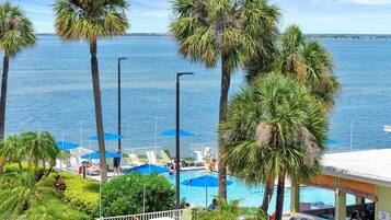 Waterfront property featuring lush tropical landscaping, sparkling pool area, and stunning bay views. Palm trees line the property, offering coastal charm and relaxation.