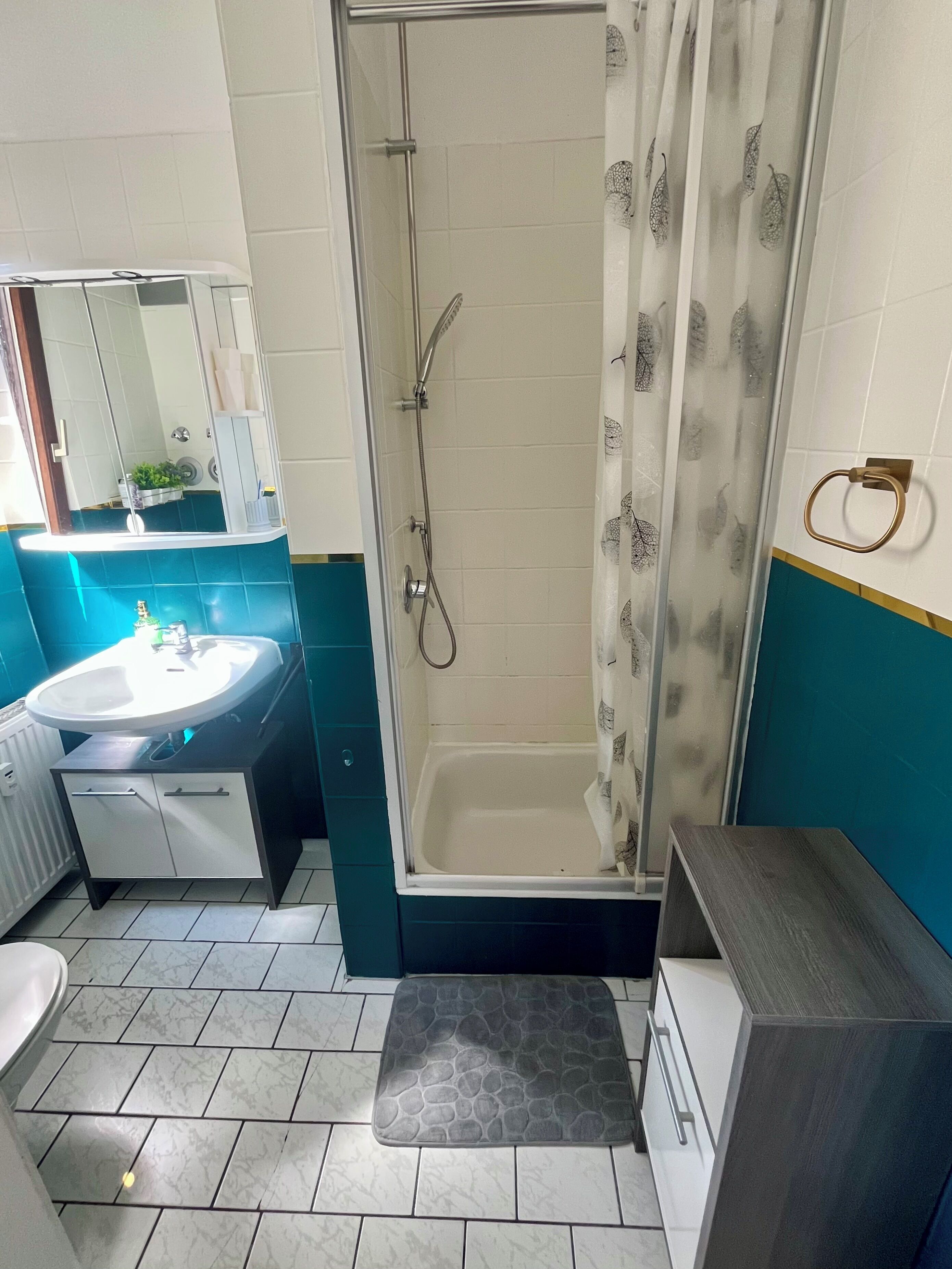 Dusche, Haartrockner, Handtücher, Seife