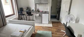 Heidelberg city center - close to the old town and main train station. TOP location