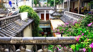 Un patio tradicional con tejados de azulejos, un espacio central abierto y vegetación circundante.