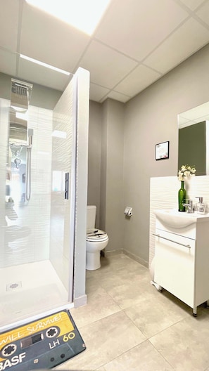 Shower, hair dryer, towels