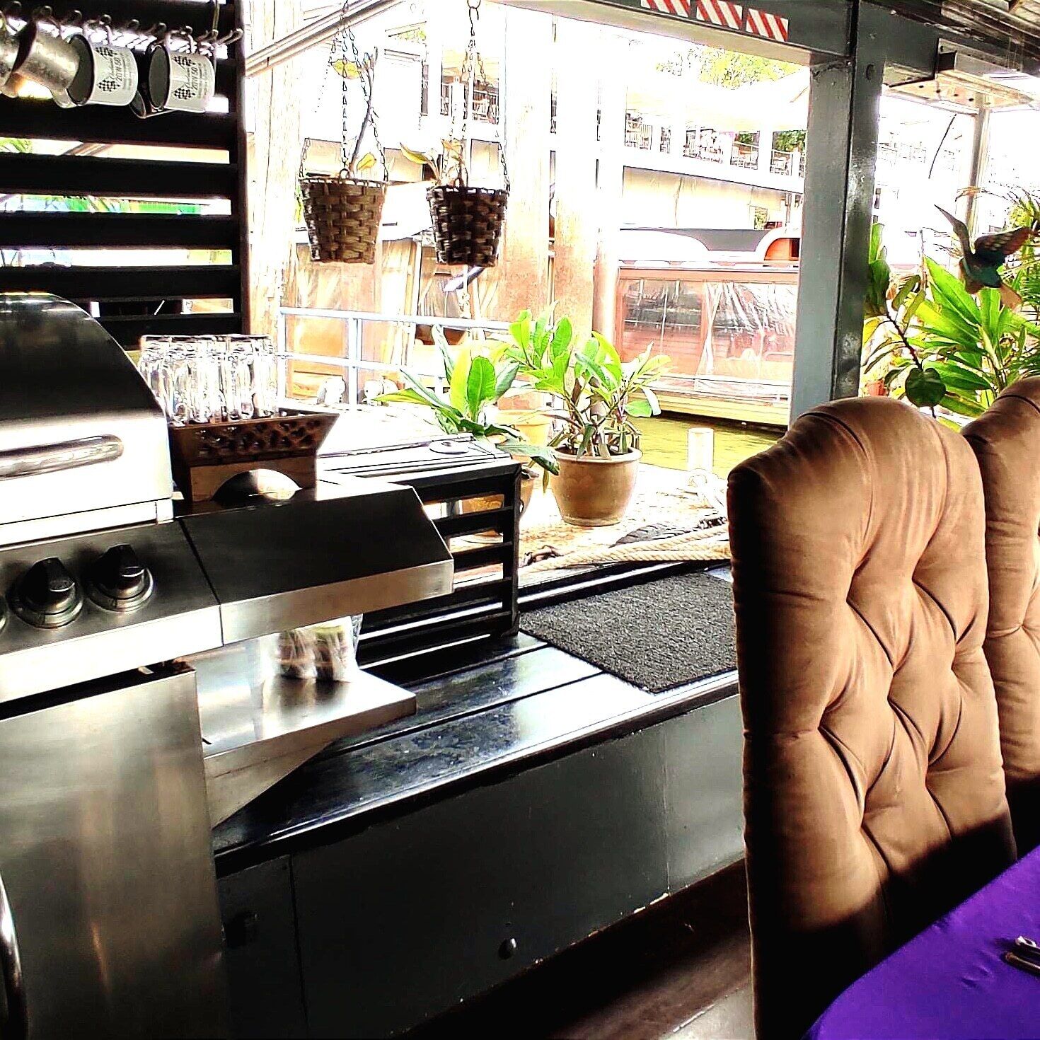 Una zona de cocina con una parrilla, tazas colgadas y plantas en macetas.