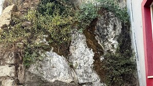 En stenvæg med vegetation, et flisegulv og et vindue med røde rammer.