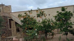 A garden with orange trees, a stone wall, and a building with a unique architectural design. - RIAD Beautiful Places  (Tahannaout)