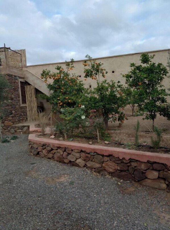 Property grounds - RIAD BERBERE (Tahannaout)