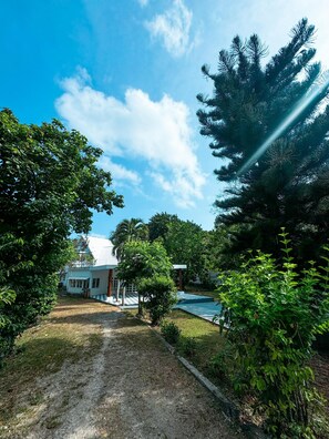 Ngoại thất