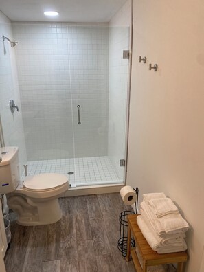 Hair dryer, towels, soap, toilet paper