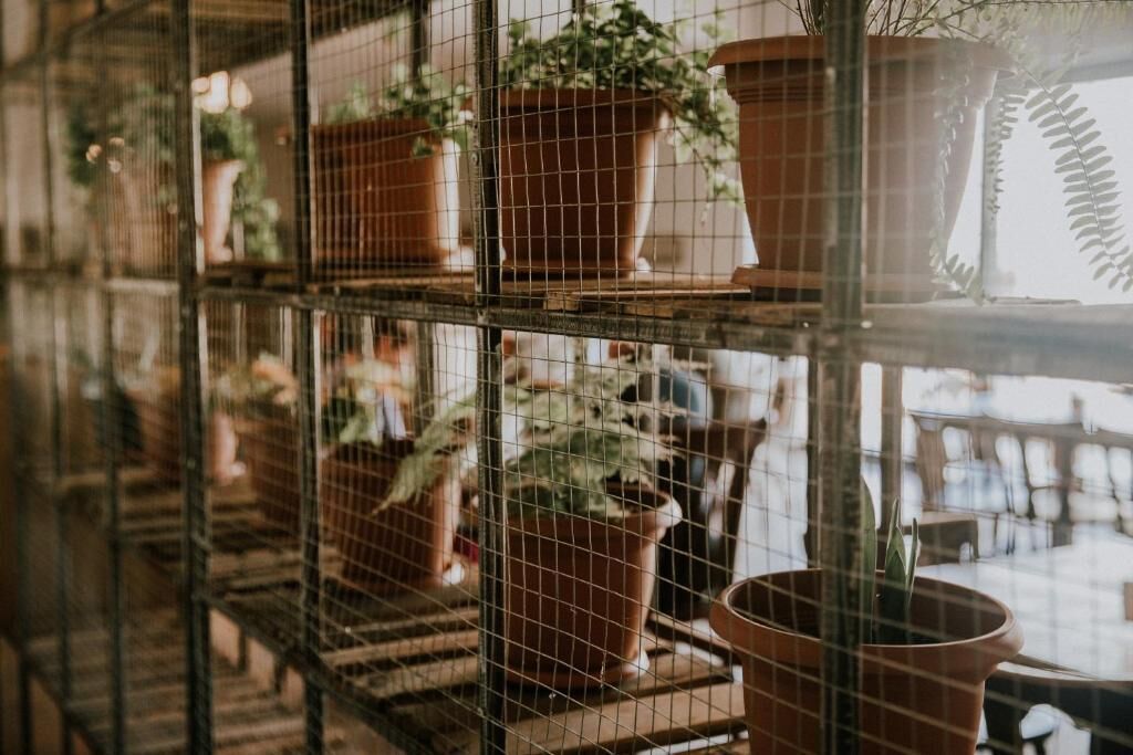 A series of terracotta pots on shelves, with a wire mesh in the foreground.