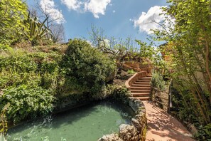 Escadaria de pedra descendo para uma piscina de águas cristalinas, cercada por vegetação exuberante.