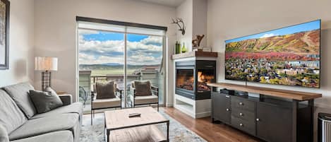 TV, fireplace, offices