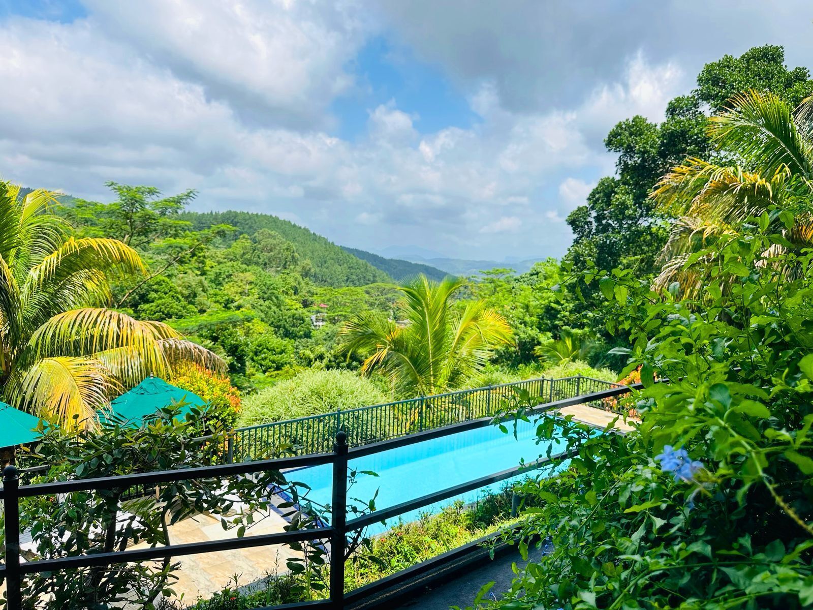 Utomhuspool, parasoller och solstolar