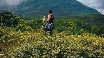 A person hiking in a lush green area with a mountain in the background.