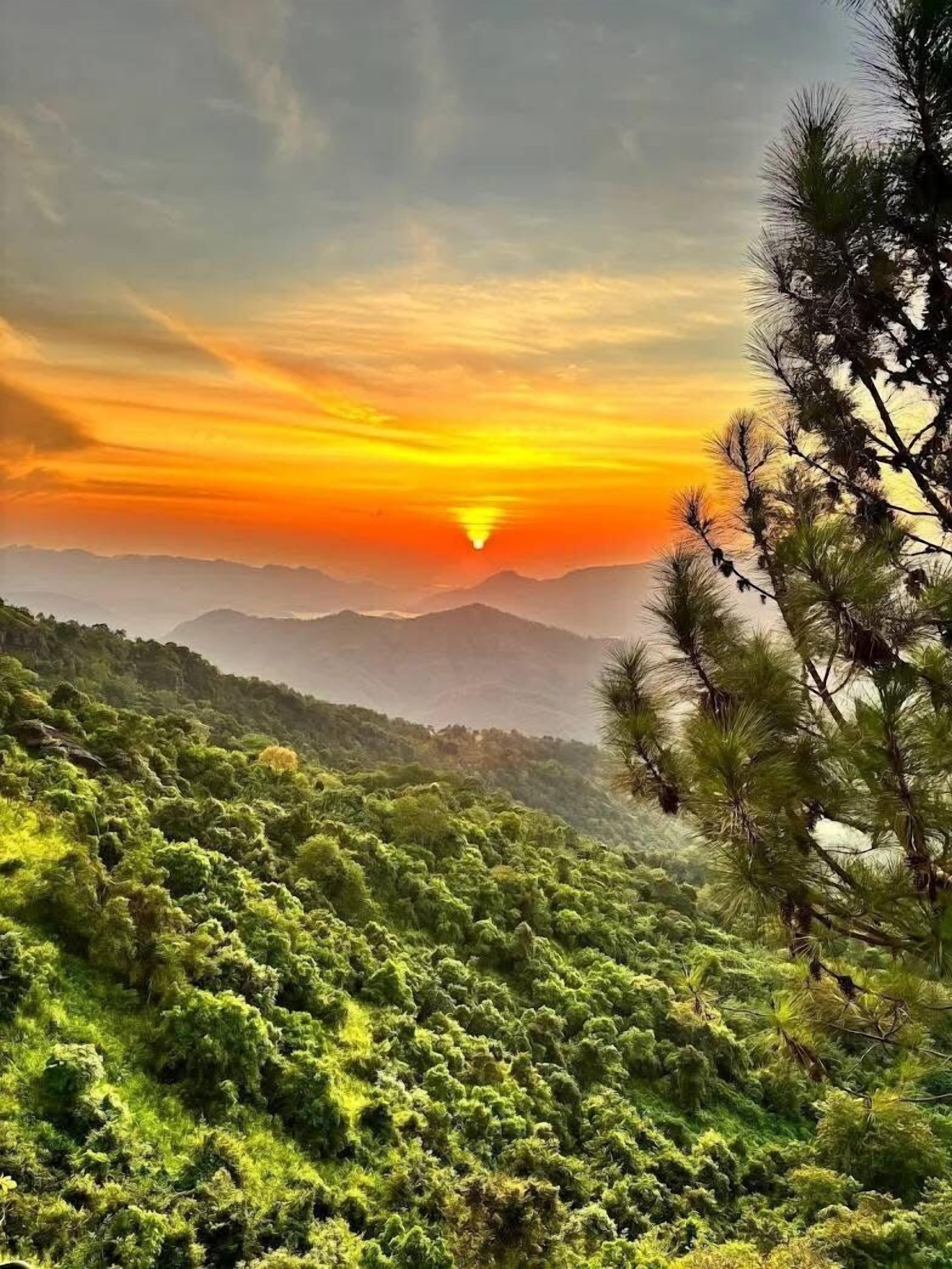 A mountainous landscape with dense green vegetation and a sunset in the background.