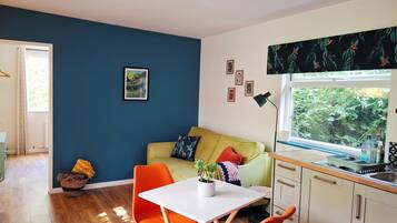 TV, DVD player, books, video library