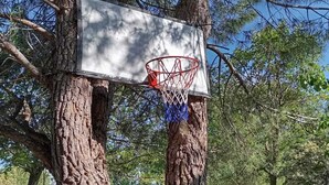 A basketball hoop mounted on two trees in a wooded area with picnic tables and a small cabin in the background. - House in El Bosque Encantado (San Martín de Valdeiglesias)