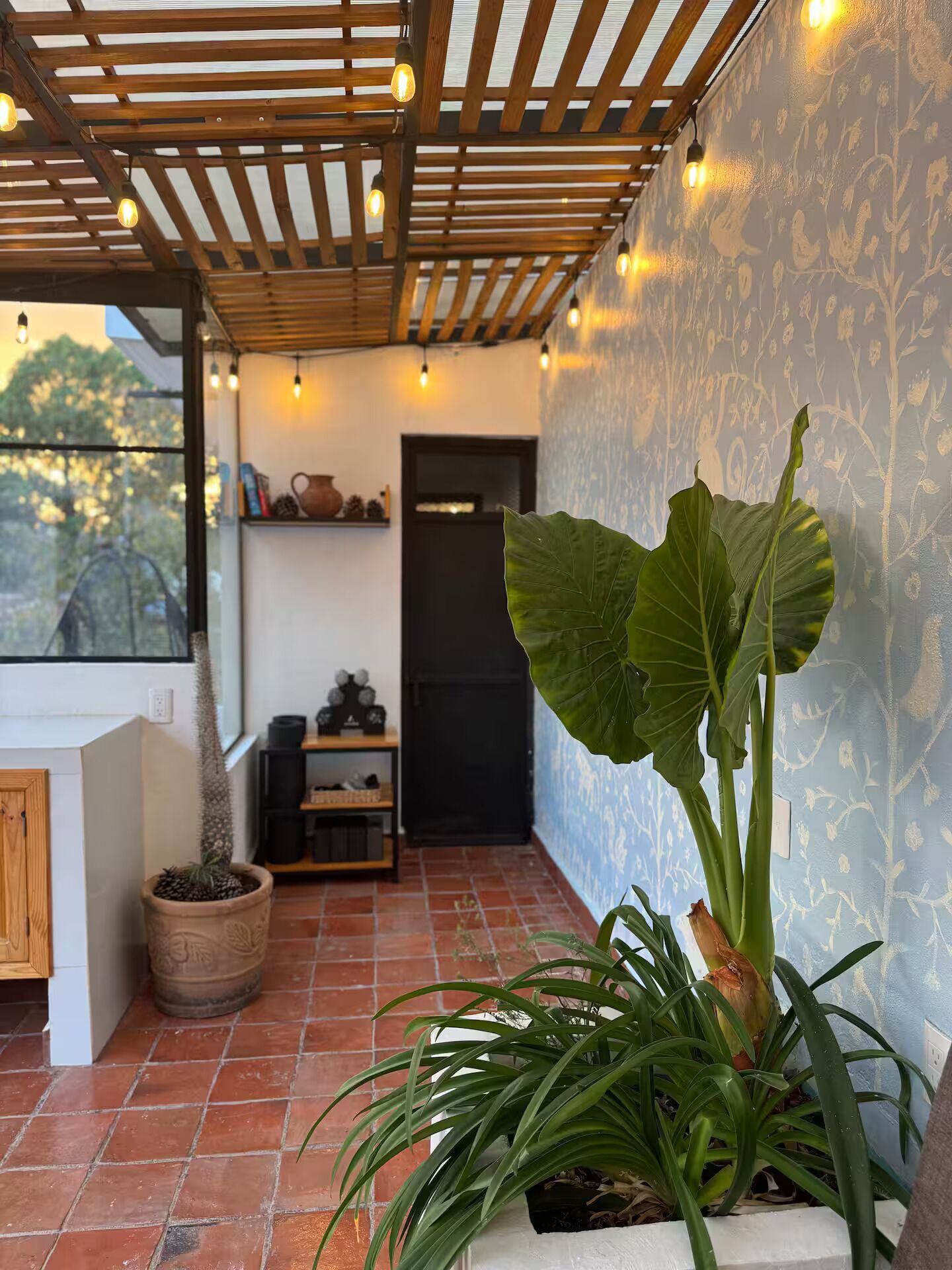 Una habitación acogedora con techo de madera, una planta en maceta y ventana con vistas a un jardín.