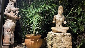 Un jardín con dos estatuas, una planta grande en maceta y un camino empedrado.