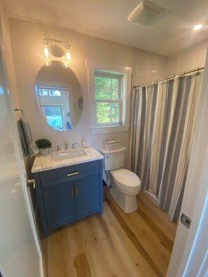 Shower, hair dryer, towels, soap - Charming 1-bedroom cottage in fabulous Bridgton with WiFi, AC, private dock (Bridgton)