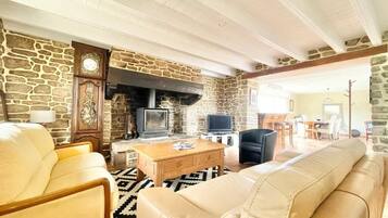 Smart TV, fireplace, books