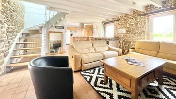 Smart TV, fireplace, books