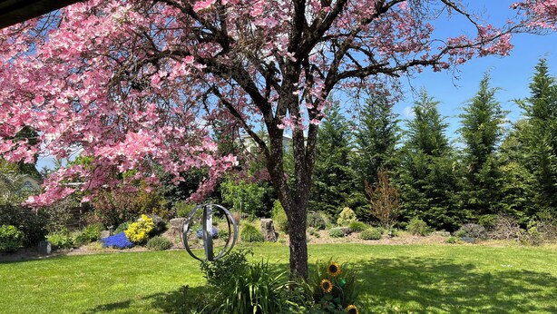 Een tuin met een boom vol roze bloesems, een metalen sculptuur en verschillende planten, waaronder zonnebloemen.
