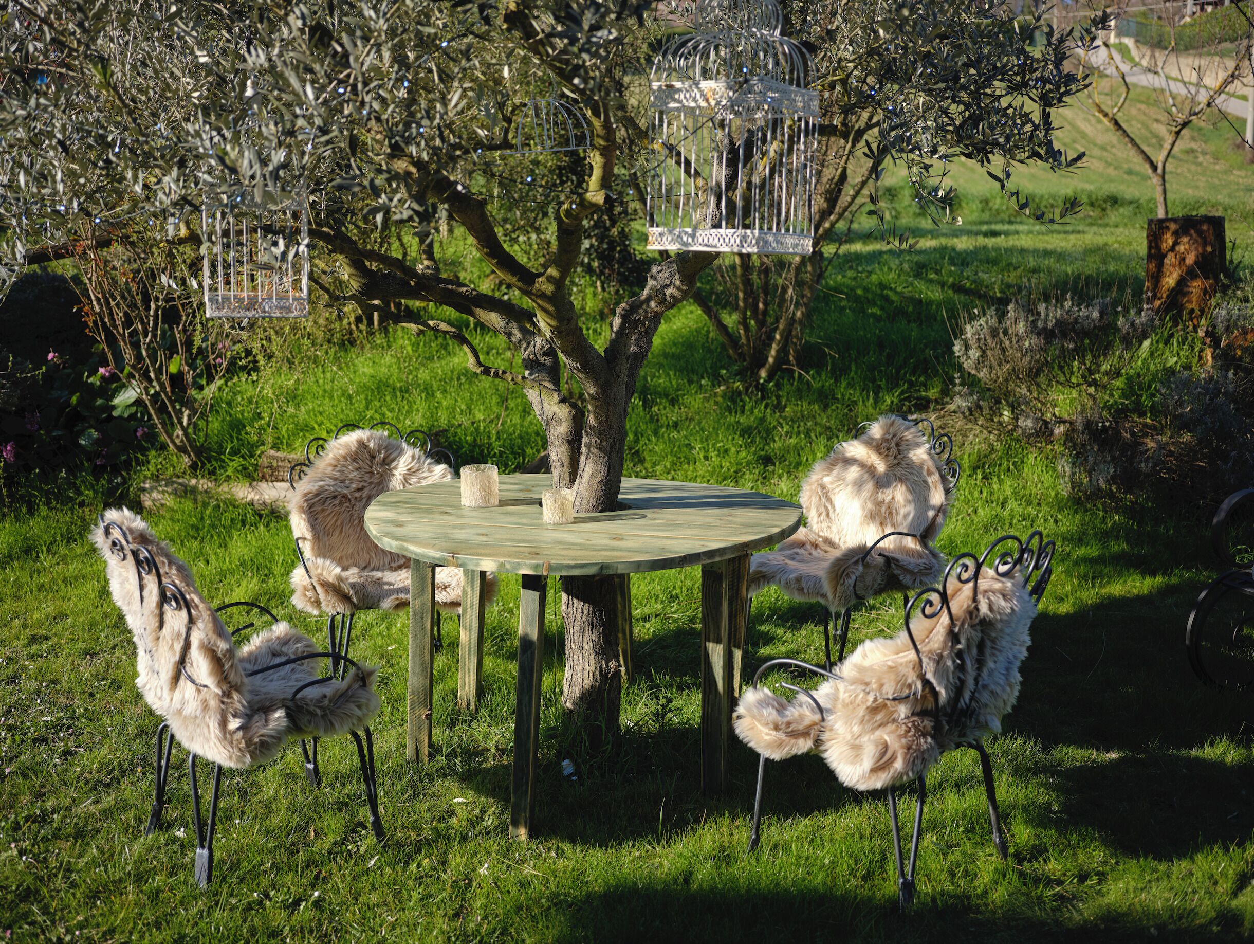 A round wooden table with chairs, surrounded by olive trees and birdcages.
