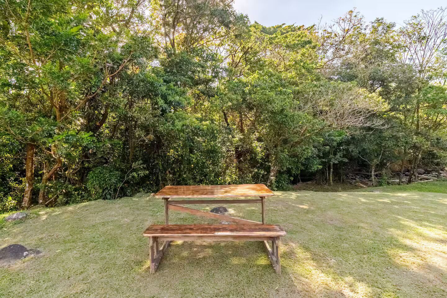 A rustic wooden bench and table set in a grassy area surrounded by dense foliage.