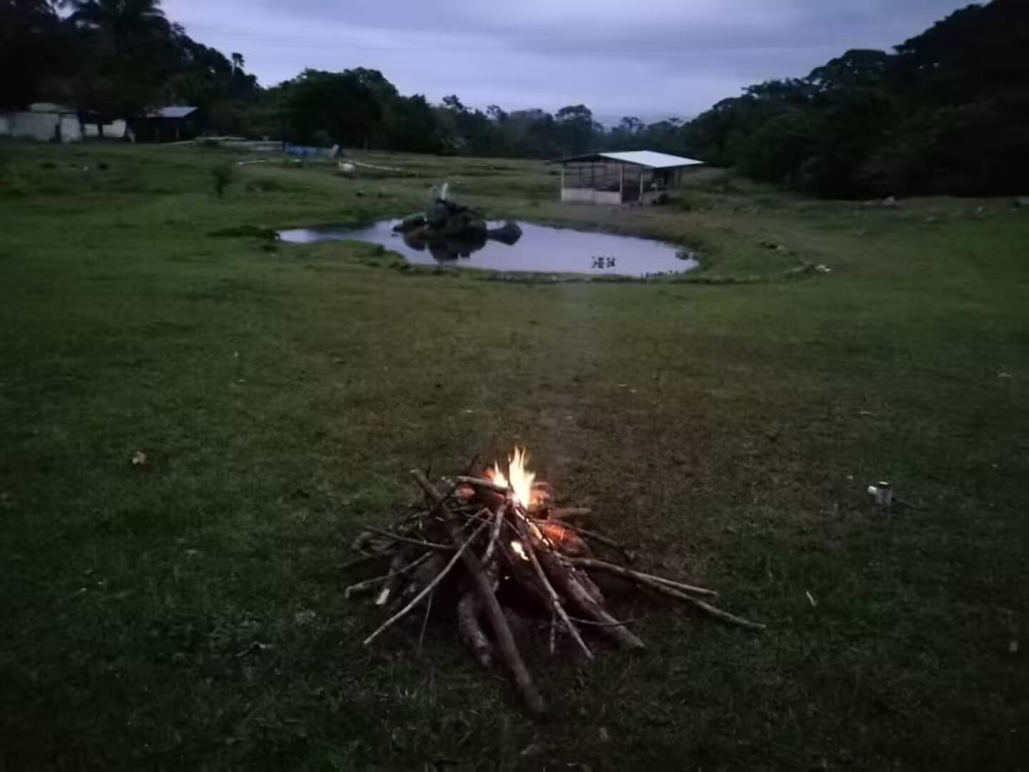 A grassy field with a small campfire in the center, surrounded by trees and a pond.