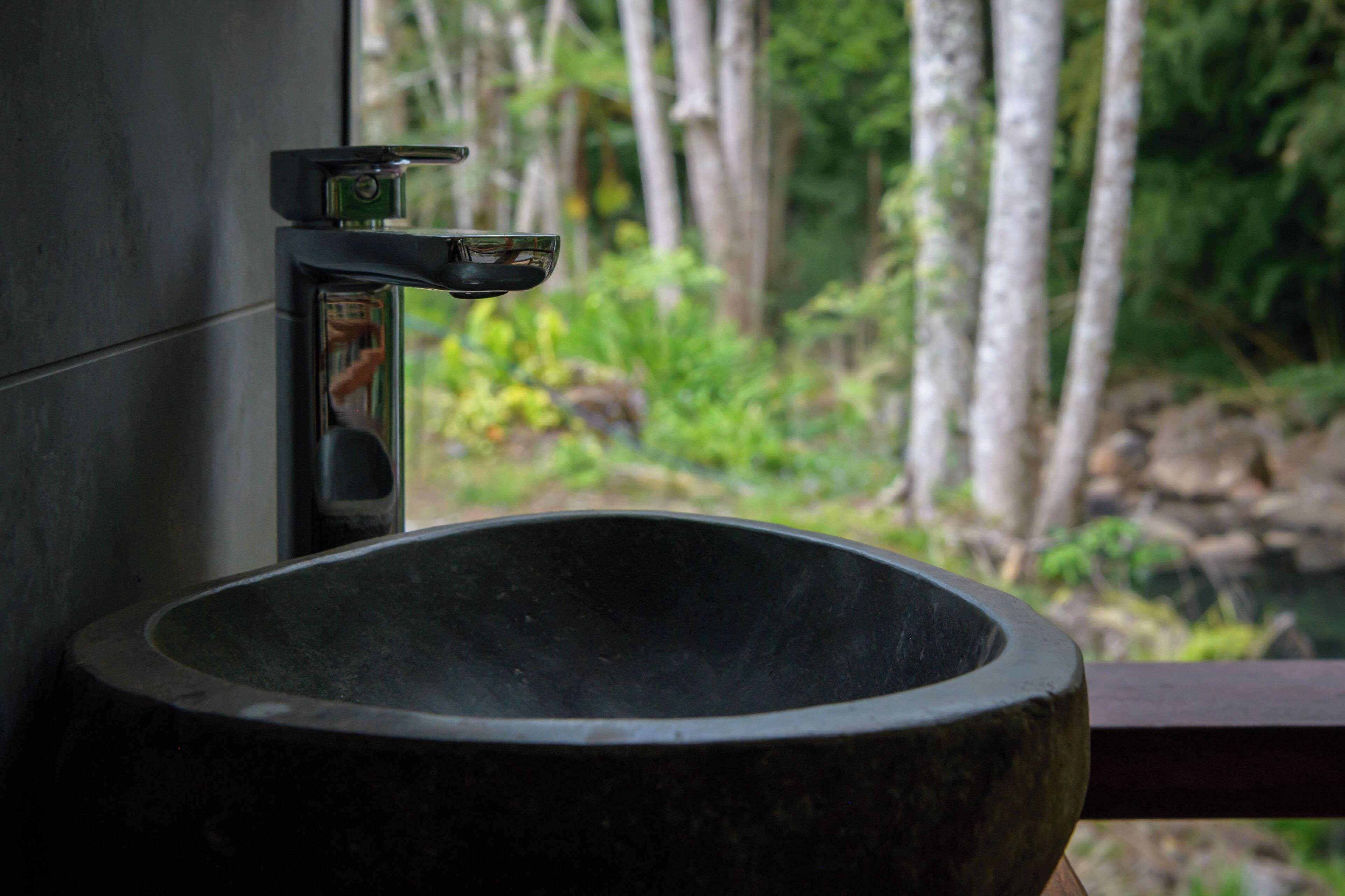 Un évier en pierre surmonté d’un robinet moderne, le tout mis en valeur par un décor de forêt luxuriante et verdoyante.