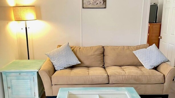 Living area - 4 Bedroom House In Dixie County (Steinhatchee)