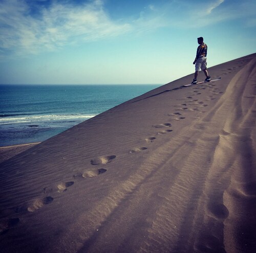refugio de las aves