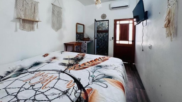 A bedroom with a bed, a ceiling fan, a wall-mounted TV, and a door with a window.