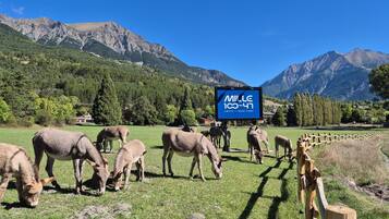 Señalización de 'Mille 100-47 UBAYE - BASE CAMP' en una zona montañosa con animales pastando.