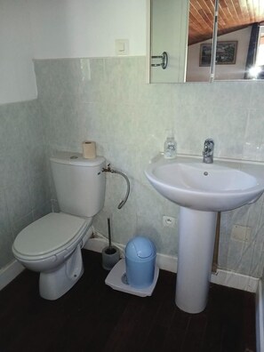 Bathroom features a pedestal sink, toilet, and mirror.