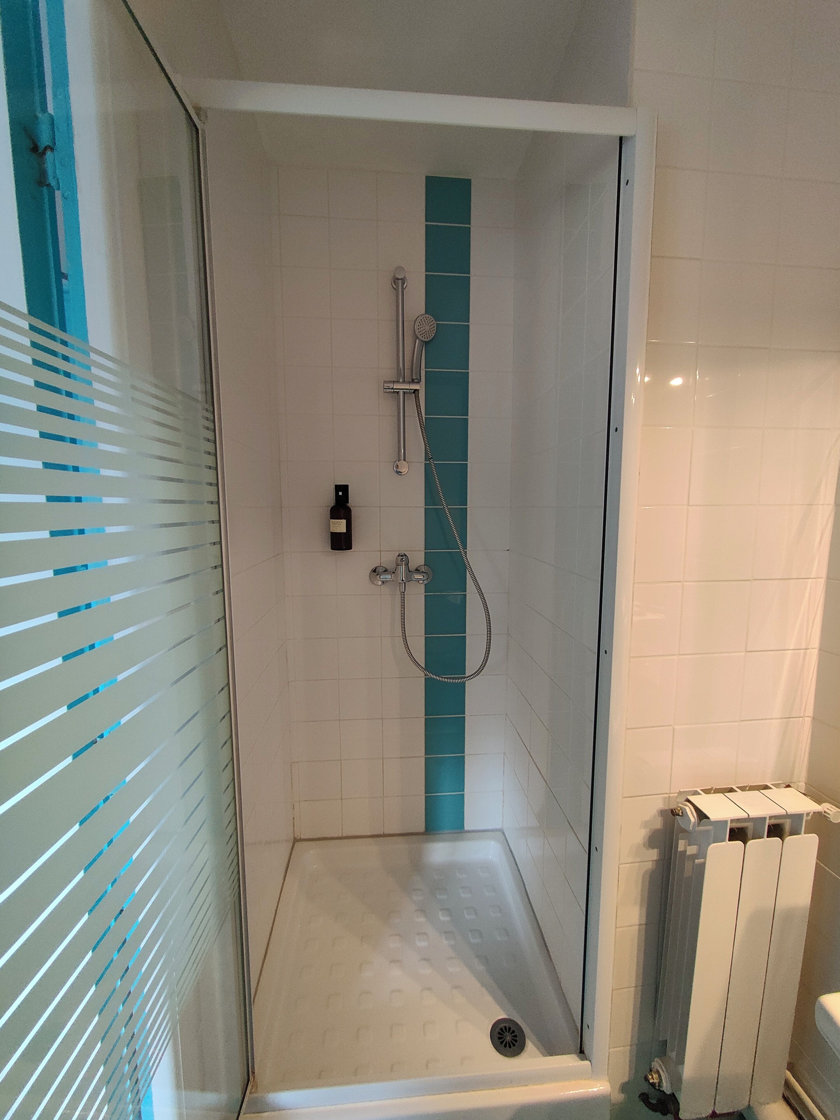 Ducha con una banda vertical azul, cabezal de ducha manual y un rociador de mano.
