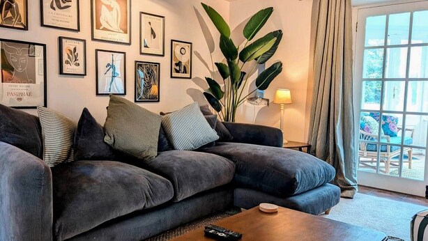 Un salón con un sofá gris oscuro, una mesita de centro y una planta grande.