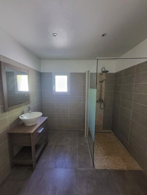 Shower, towels, toilet paper