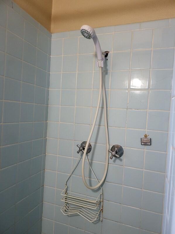 Shower, towels, soap, toilet paper