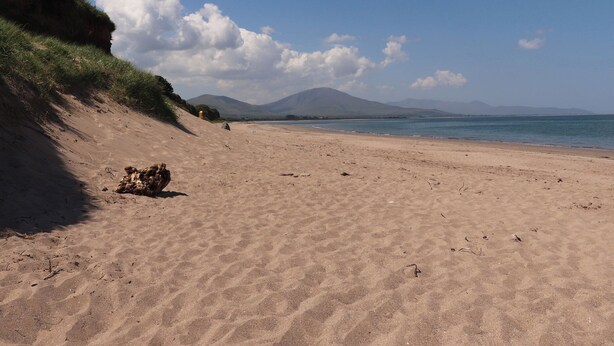 Une vaste plage de sable fin, avec de douces vagues, une pente herbeuse sur la gauche et, au loin, des montagnes sous un ciel dégagé.