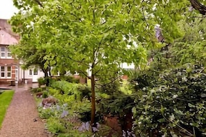 Jardín