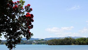 Ein See mit einem Baum mit roten Blüten im Vordergrund und einer Ansicht von einer entfernten Uferlinie mit Gebäuden und Hügeln.