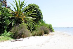 Beach nearby - Graceful Character Cottage In The Leafy Avenues (Tauranga)
