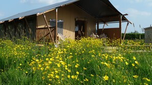 Een rustieke hut met een schuin dak en een veranda, omgeven door een veld vol gele bloemen.