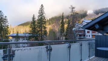 Basic House | Terrace/patio