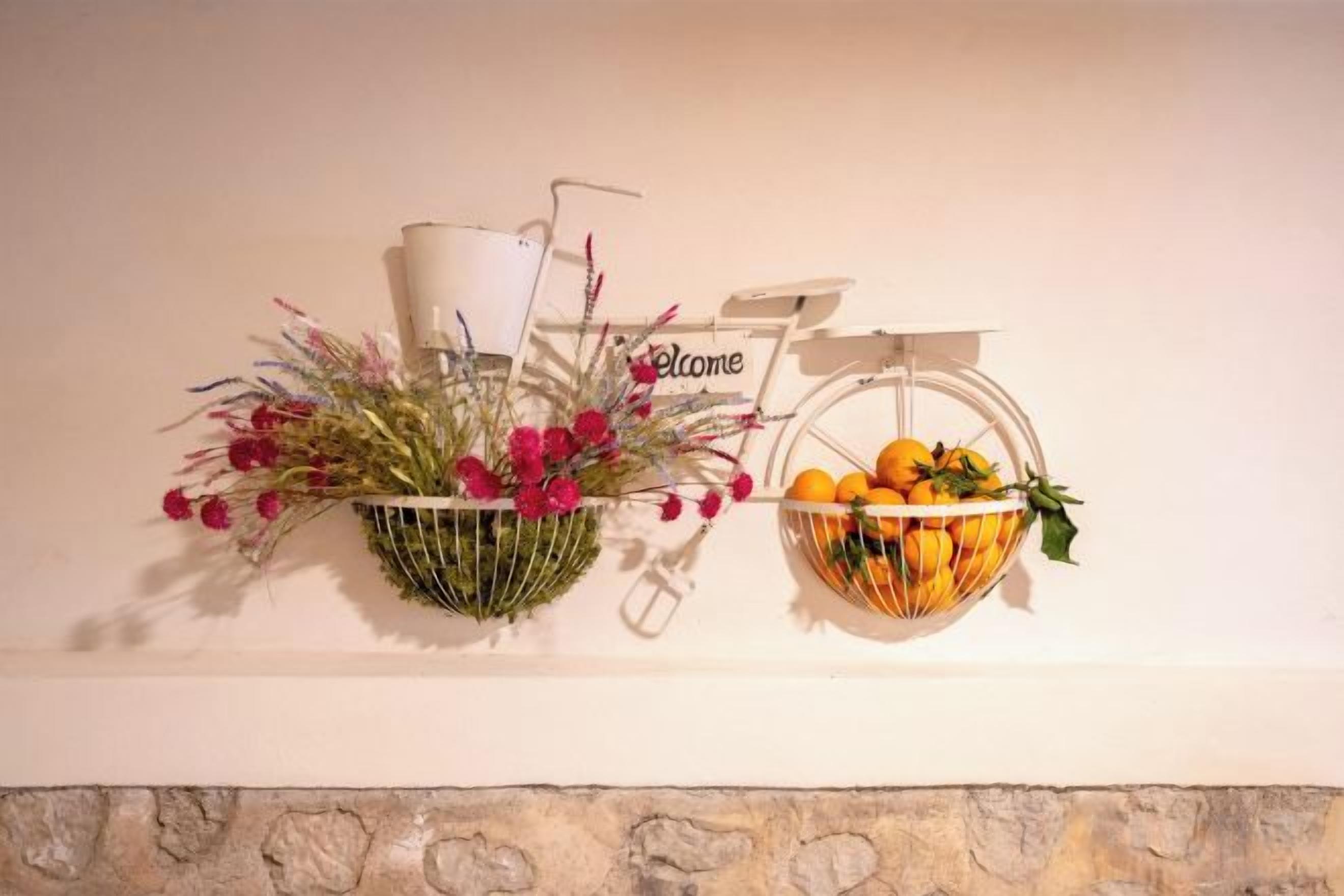 A wall-mounted shelf with a welcome sign, a potted plant, and a fruit bowl.