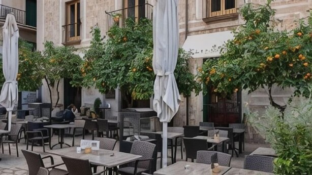 An outdoor cafe with tables and chairs, umbrellas, and orange trees. - Soller Plaza (Soller)