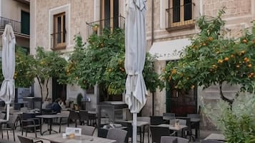 Parte interna