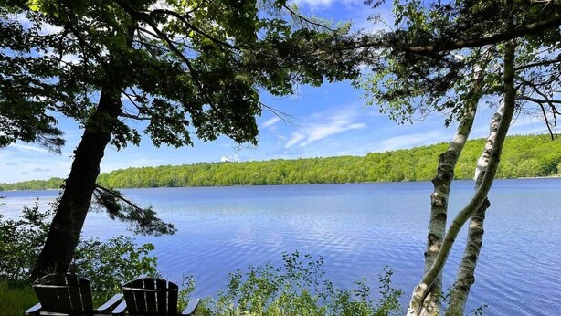 Scena con un lago, due poltrone Adirondack sotto un albero, vista su una sponda boscosa e acque calme.