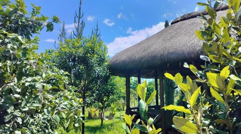 Área da propriedade